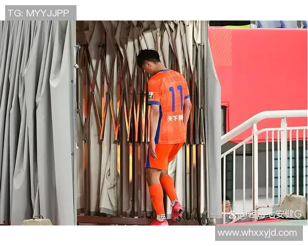 中超精彩对决鲁能战河北全场录像回放与精彩瞬间分析