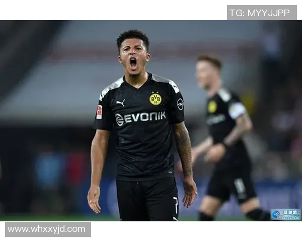 恩佐的传奇之路:从平凡少年到足球巨星的成长故事 恩佐的传奇之路:从平凡少年到足球巨星的成长故事