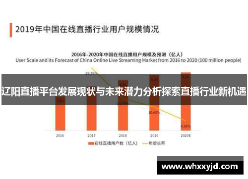 辽阳直播平台发展现状与未来潜力分析探索直播行业新机遇