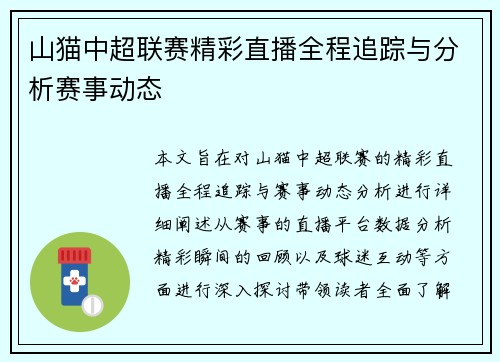 山猫中超联赛精彩直播全程追踪与分析赛事动态