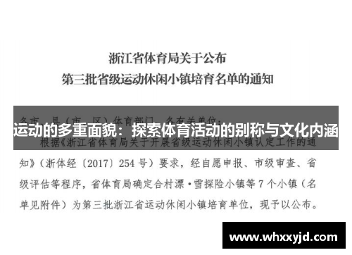 运动的多重面貌：探索体育活动的别称与文化内涵